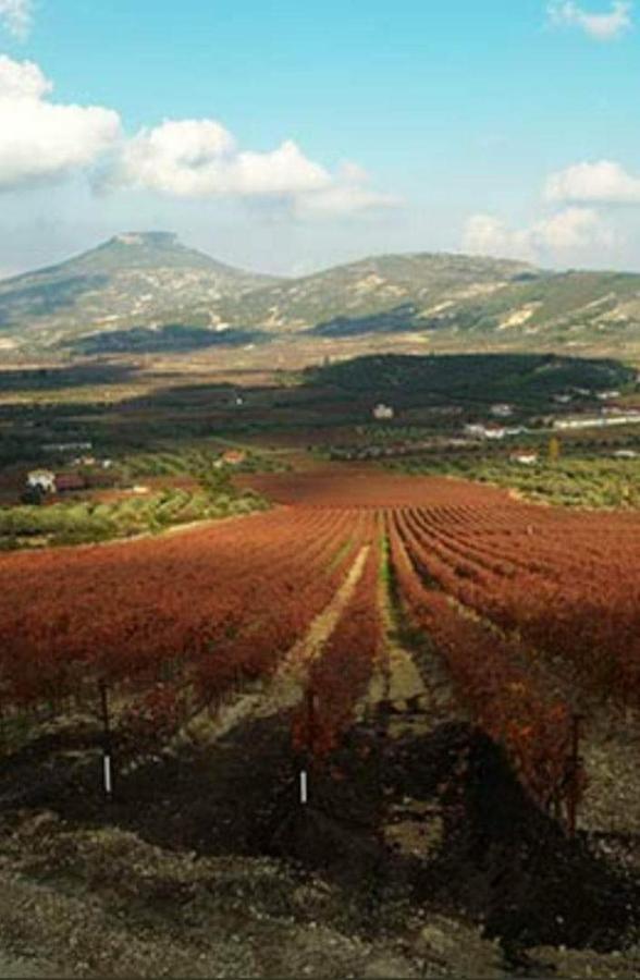 Georgia'S Village House Kondostavlos Esterno foto